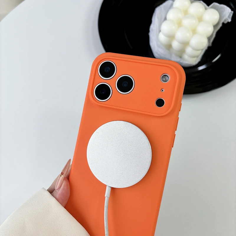 Solid Color Official Liquid Si - Magsafe Wireless Charger 评论和价格